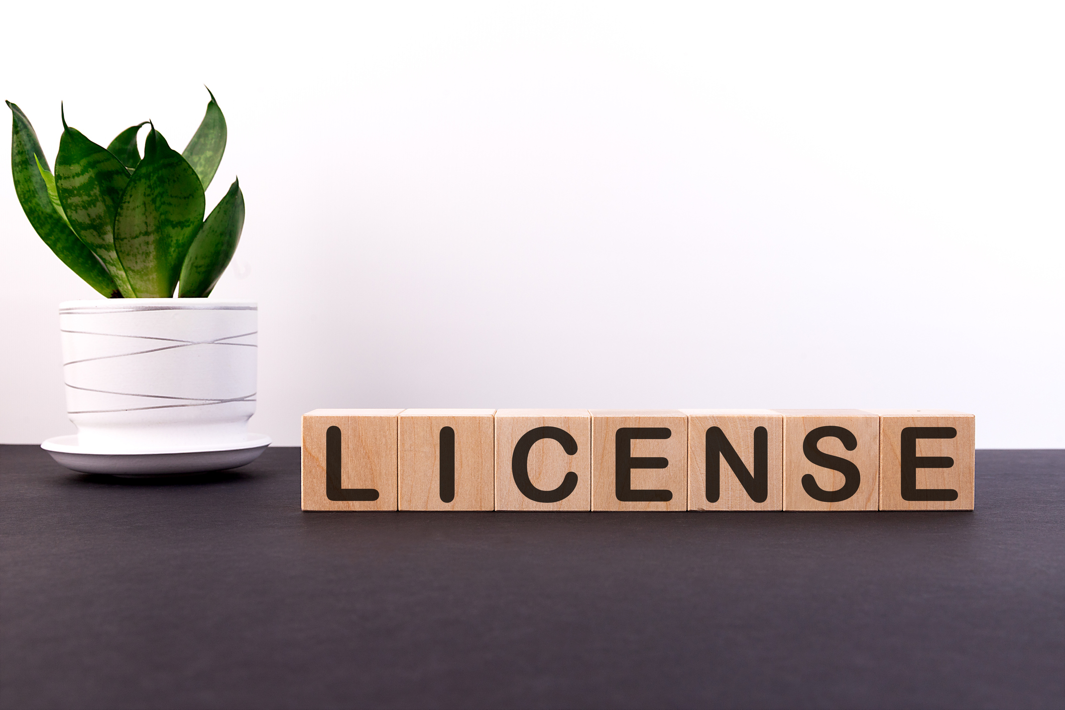 What is a Business License and How to Get One?