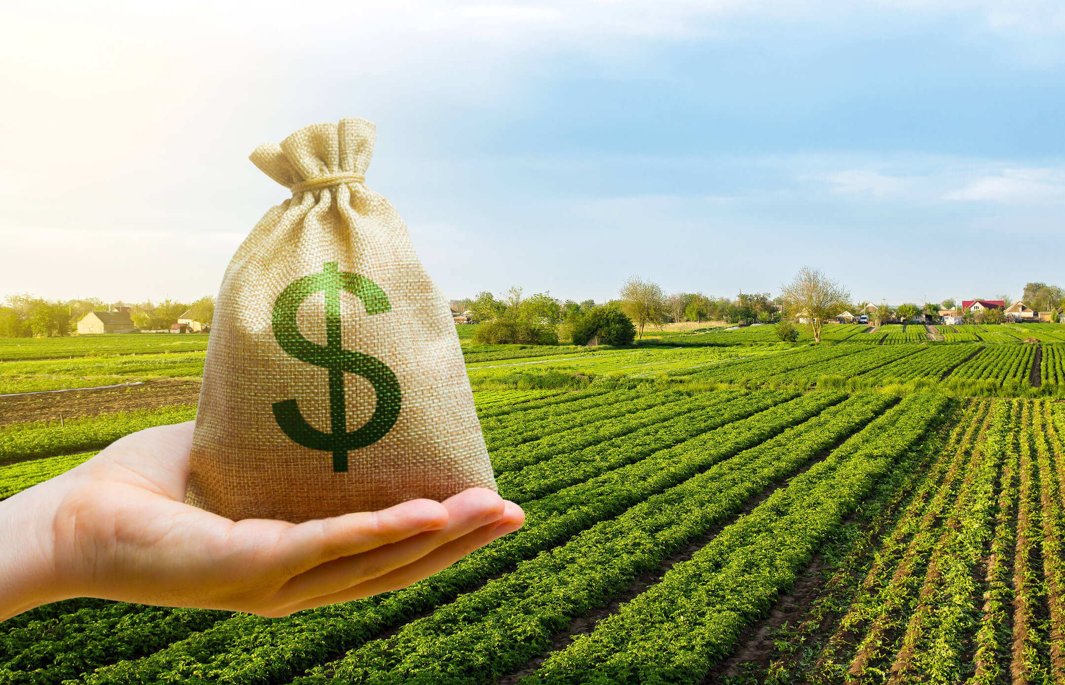 Farming-Investment-Advantages-Complete-Controller