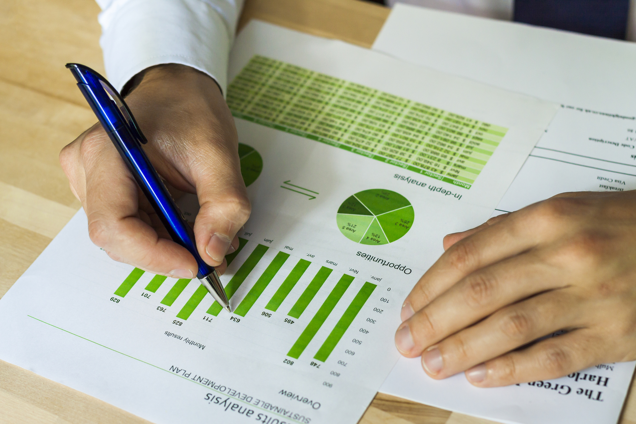 What are the Roles of Budgets and Performance Reports in Business?