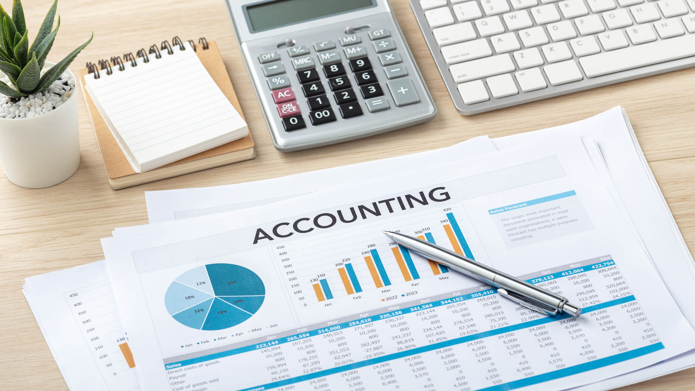 The Art of Managing Business Accounting- Complete Controller.